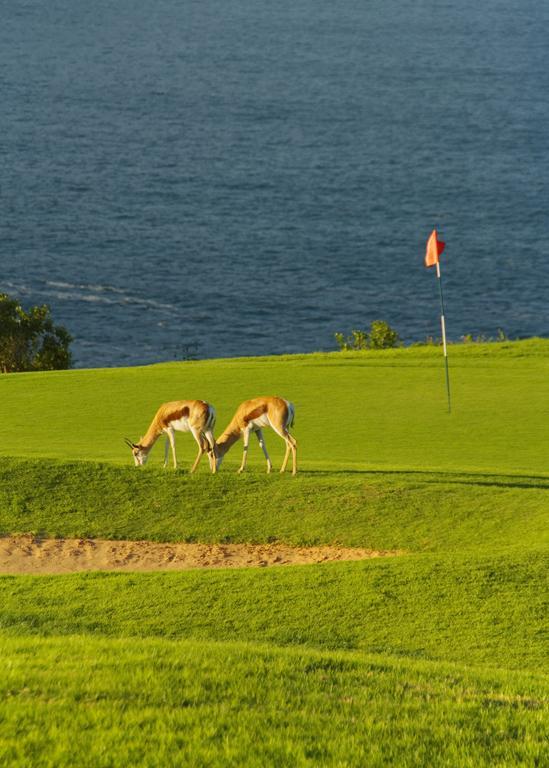 Mossel Bay Golf Lodge Buitenkant foto